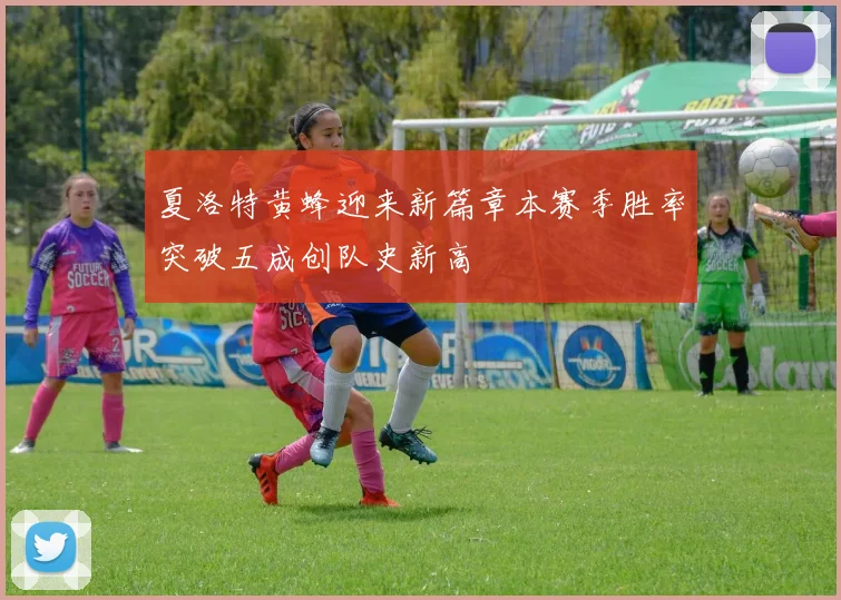 夏洛特黄蜂迎来新篇章本赛季胜率突破五成创队史新高