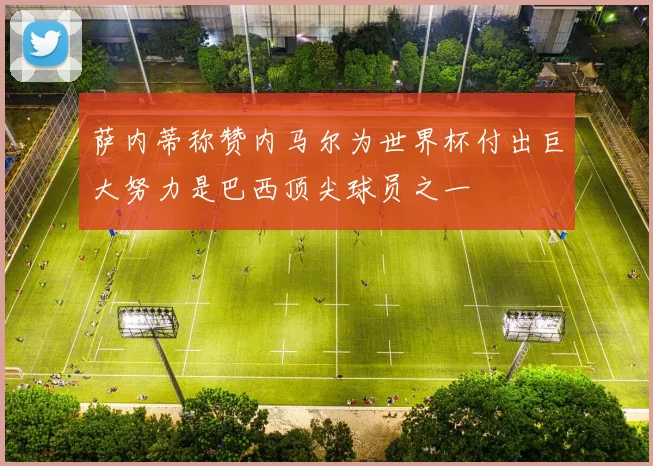 萨内蒂称赞内马尔为世界杯付出巨大努力是巴西顶尖球员之一