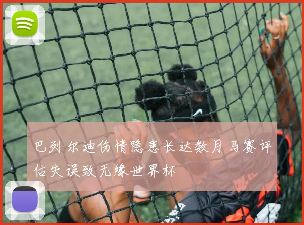 巴列尔迪伤情隐患长达数月马赛评估失误致无缘世界杯